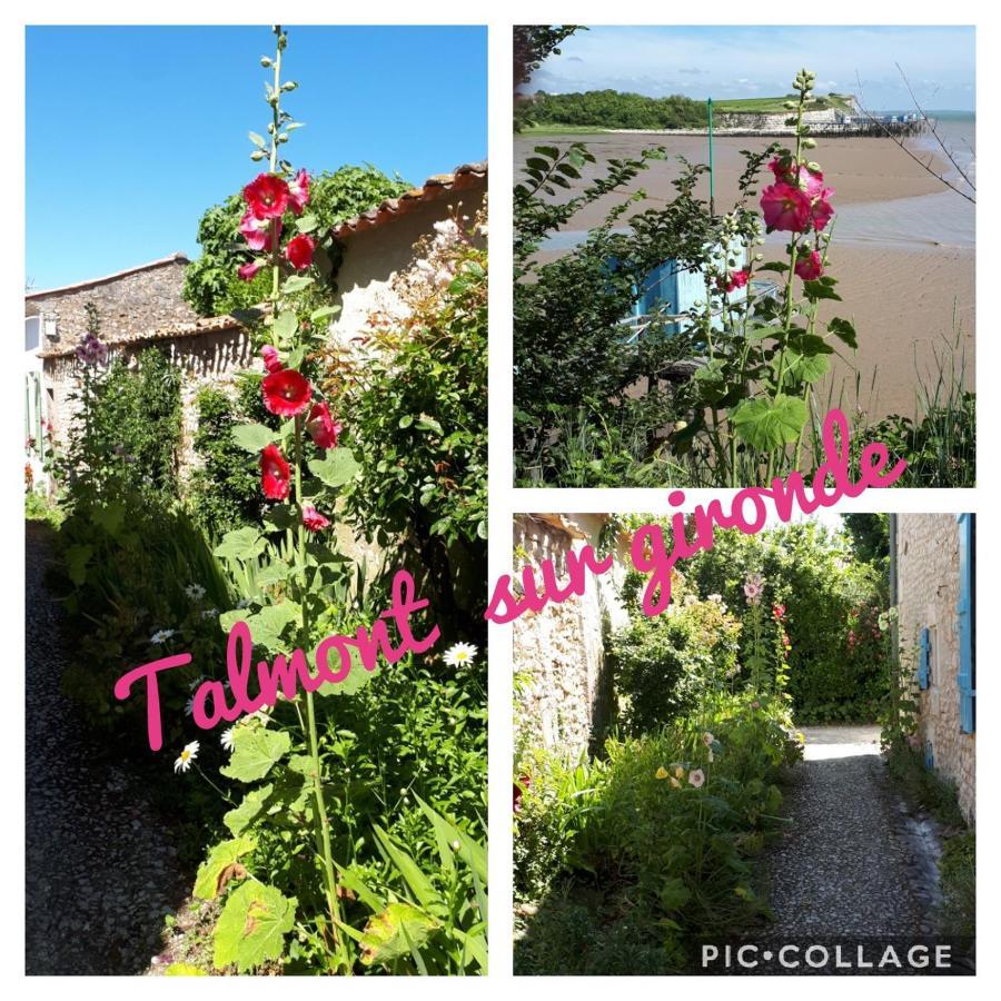 Gite " Les Tourterelles" Thaims Buitenkant foto