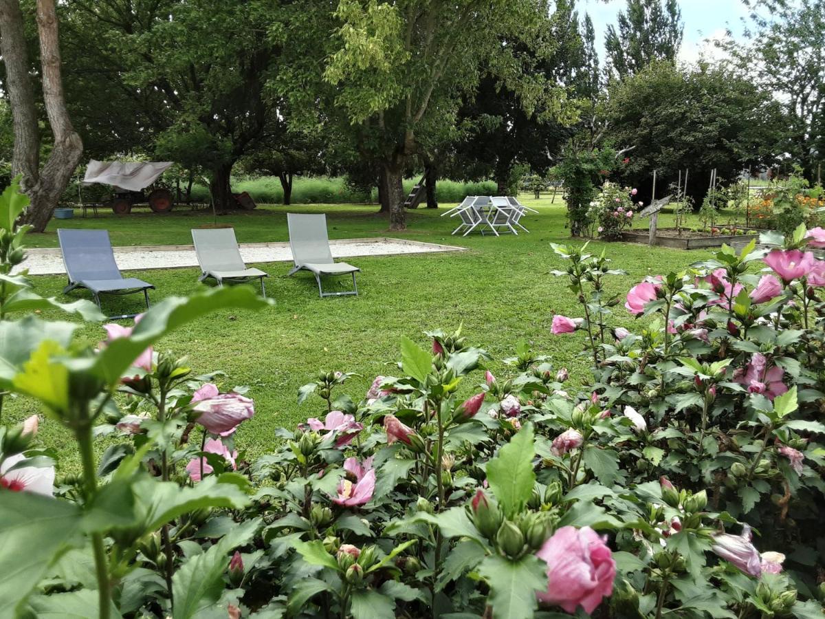 Gite " Les Tourterelles" Thaims Buitenkant foto